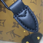 Louis Vuitton Noe Trunk PM M13324 Apricot